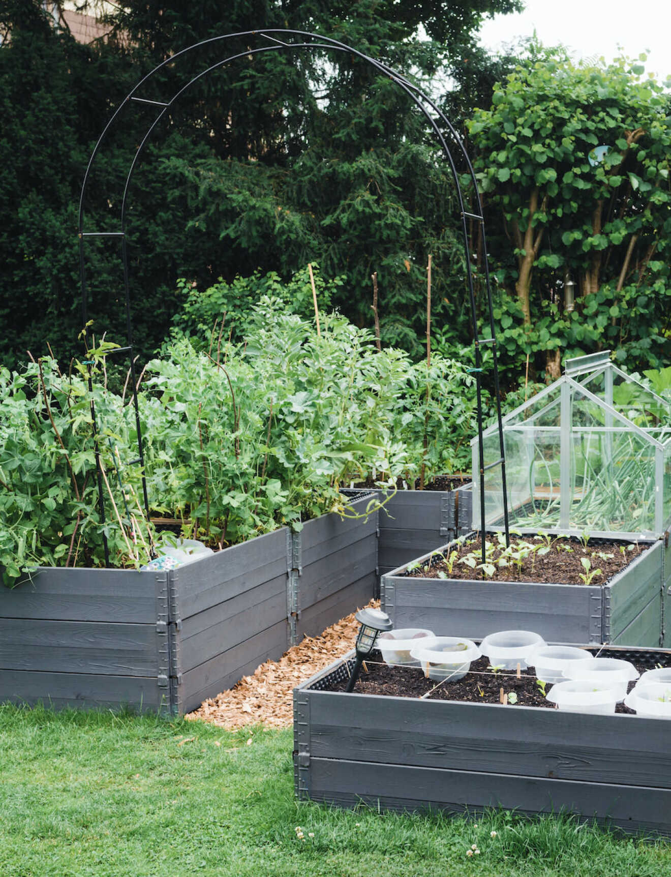 Grey HuertoBox raised beds in a backyard garden